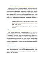 Referāts 'Čigānu pozicionējums rubrikā "Tiesa" laikrakstā "Latvijas Kareivis" 1935.gadā', 5.