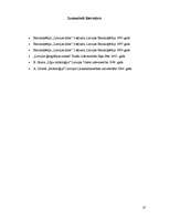 Konspekts 'Rēzeknes un Svētes upju hidroloģisks raksturojums', 10.