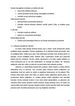 Prakses atskaite 'Bankas un personāla vadība, mārketinga politika Nord LB bankā', 21.