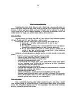 Konspekts 'Ārvalstu konstitucionālās tiesības', 28.