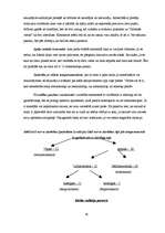 Referāts 'Personība', 10.