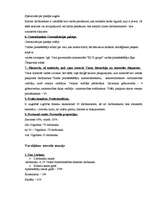 Konspekts 'Organizāciju analīze', 2.