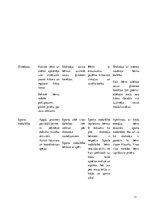 Prakses atskaite 'Aktīvā mācību un audzināšanas prakse pirmsskolā', 11.