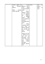 Prakses atskaite 'Aktīvā mācību un audzināšanas prakse pirmsskolā', 17.