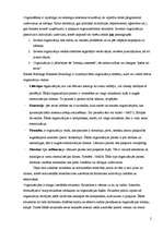 Eseja 'Valsts sektora organizācija', 2.