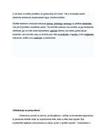 Konspekts 'Globalizācija', 6.