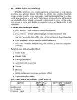 Konspekts 'Arteriālā pulsa noteikšana', 1.