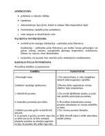 Konspekts 'Arteriālā pulsa noteikšana', 3.