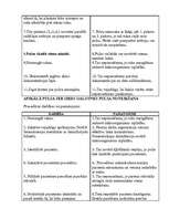 Konspekts 'Arteriālā pulsa noteikšana', 4.