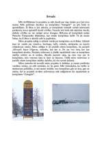 Referāts 'Sporta un atpūtas komplekss "Zemgale"', 3.