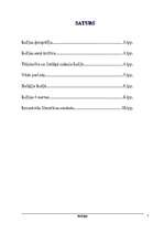 Referāts 'Indija', 2.