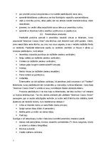 Biznesa plāns 'Biznesa plāns amerikāņu restorānam Latvijā', 7.