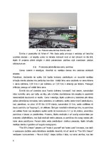 Biznesa plāns 'Biznesa plāns amerikāņu restorānam Latvijā', 9.