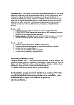 Referāts 'Cukura diabēts un tā ārstēšana', 6.