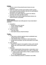 Referāts 'Cukura diabēts un tā ārstēšana', 7.