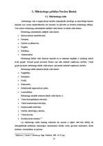 Prakses atskaite 'Prakses atskaite Nordea Bank Finland PLC Latvijas filiālē', 33.