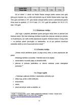 Prakses atskaite 'Prakses atskaite Nordea Bank Finland PLC Latvijas filiālē', 41.