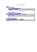 Referāts 'Peļņa un tās analīze', 2.