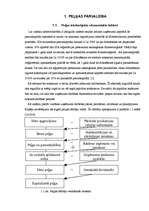 Referāts 'Peļņa un tās analīze', 4.