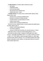 Referāts 'Peļņa un tās analīze', 6.