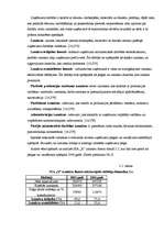 Referāts 'Peļņa un tās analīze', 20.