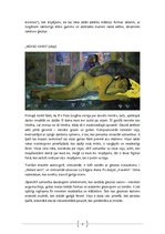 Referāts 'Pols Gogēns', 9.