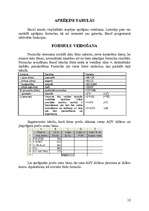 Referāts 'Datu ievads ar tabulām vai formulām', 10.