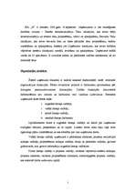 Referāts 'Organizācijas procesu analīze uzņēmumā SIA "X”', 2.