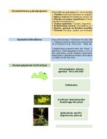 Konspekts 'Uzdevumu kopums- risku matrica, vides aizsardzība', 14.