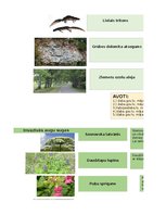 Konspekts 'Uzdevumu kopums- risku matrica, vides aizsardzība', 15.