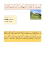 Konspekts 'Uzdevumu kopums- risku matrica, vides aizsardzība', 23.