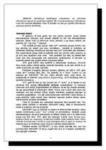 Referāts 'Internets', 3.