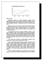 Referāts 'Internets', 8.