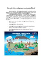 Referāts 'Vides piesārņojums', 2.