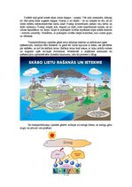 Referāts 'Vides piesārņojums', 3.