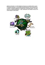 Referāts 'Vides piesārņojums', 6.