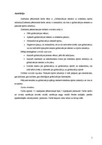 Referāts 'Globalizācijas ietekme uz mūsdienu sporta industriju', 3.