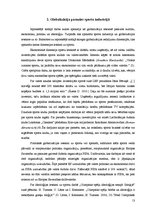 Referāts 'Globalizācijas ietekme uz mūsdienu sporta industriju', 13.