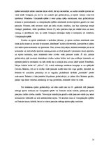 Referāts 'Globalizācijas ietekme uz mūsdienu sporta industriju', 14.