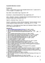 Referāts 'Globalizācijas ietekme uz mūsdienu sporta industriju', 26.