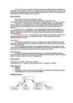 Konspekts 'Nodokļu tiesības', 4.