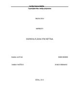 Referāts 'Biznesa plāna struktūra', 1.