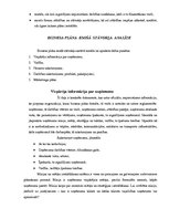 Referāts 'Biznesa plāna struktūra', 3.