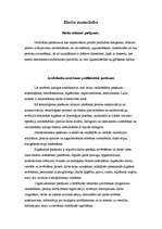 Konspekts 'Darba aizsardzība', 1.