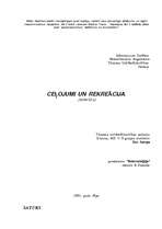 Referāts 'Ceļojumi un rekreācija', 1.