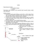 Konspekts 'Stafete sportā', 1.