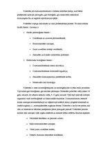 Referāts 'Pubertātes perioda fizioloģija', 2.