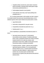 Referāts 'Pubertātes perioda fizioloģija', 4.