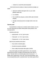 Referāts 'Pubertātes perioda fizioloģija', 8.