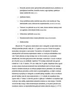 Referāts 'Pubertātes perioda fizioloģija', 14.